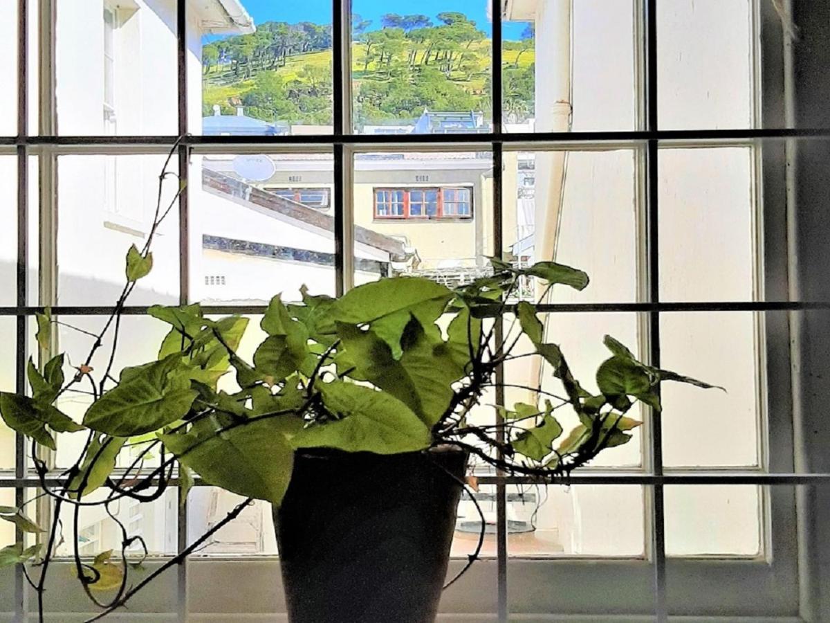 The Greenhouse Guesthouse ケープタウン エクステリア 写真